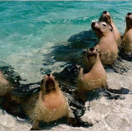 Centre Break Beach Stay Green Head 外观 照片
